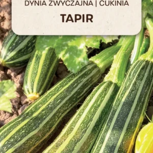 Cukinia Tapir jasnozielona z prążkowaniem dynia zwyczajna