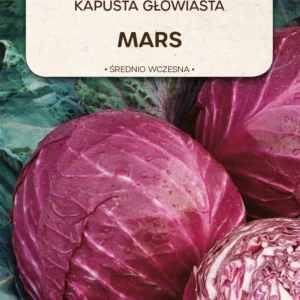 Kapusta głowiasta MARS czerwona średnio wczesna