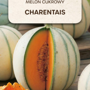 Melon cukrowy Charentaise duży smaczny aromatyczny