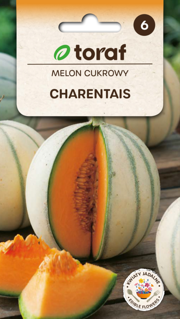 Melon cukrowy Charentaise duży smaczny aromatyczny