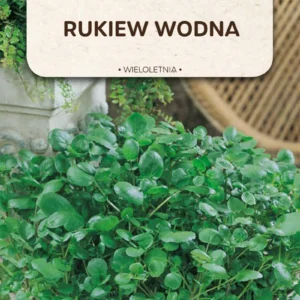 RUKIEW WODNA wieloletnia