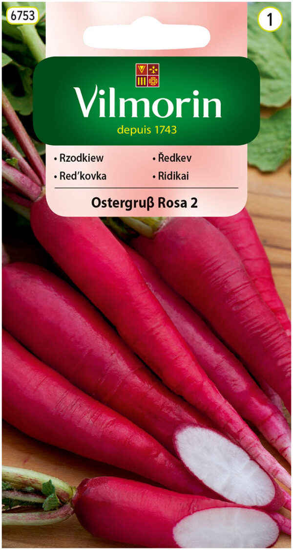 Rzodkiew OSTERGRUSS ROSA