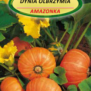 Dynia olbrzymia AMAZONKA