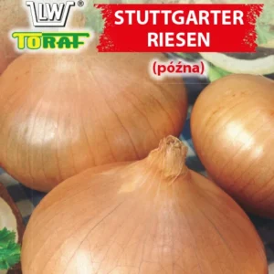 Cebula STUTTGARTER RIESEN