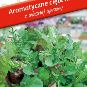 Aromatyczne cięte listki, mini ogród, świeże listki