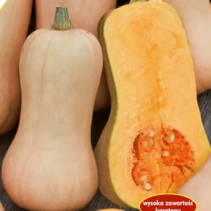 Dynia piżmowa BUTTERNUT żółta gruszka