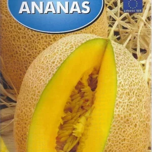 Melon ANANAS bardzo słodki, pachnie ananasem