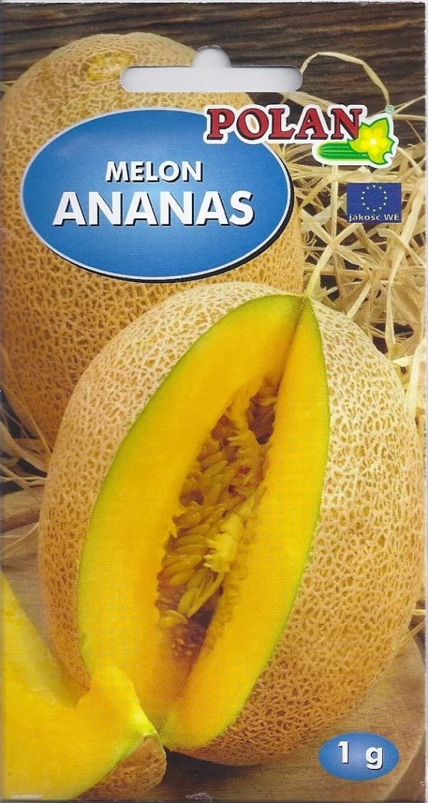 Melon ANANAS bardzo słodki, pachnie ananasem