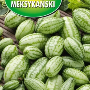 Ogórek MEKSYKAŃSKI mały arbuz, smak ogórka i limonki