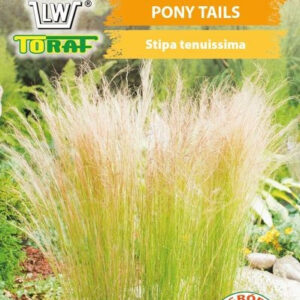 Ostnica mocna PONY TAILS stipa