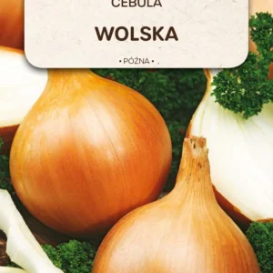 Cebula WOLSKA późna żółta