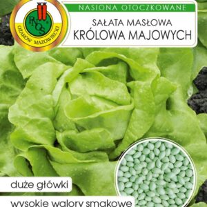 Sałata KRÓLOWA MAJOWYCH nasiona otoczkowane 100szt