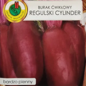 Burak REGULSKI CYLINDER ćwikłowy 25g