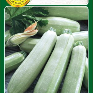 Cukinia GREY ZUCCHINI dynia zwyczajna krzaczasta