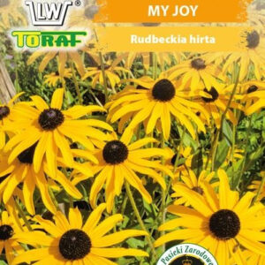 Rudbekia MY JOY