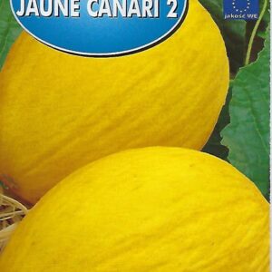 Melon Jaune Canari 2 żółty owoce do 2 kg