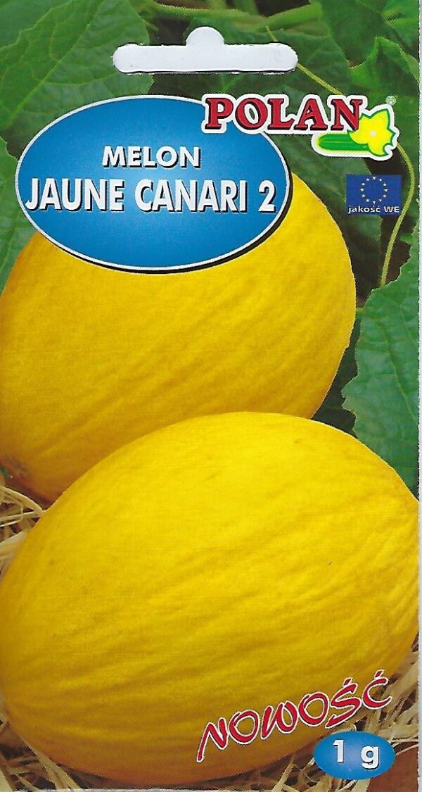 Melon Jaune Canari 2 żółty owoce do 2 kg