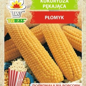 KUKURYDZA PĘKAJĄCA PŁOMYK na popcorn