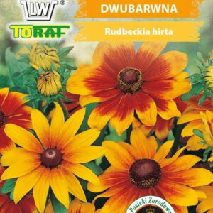 Rudbekia DWUBARWNA płatki żółto brązowe miododajna